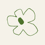 Jardin vert