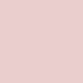 Malva rosa
