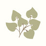 Light green yumiko