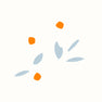 Orange cherries