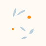 Orange cherries