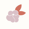 Sakura malva