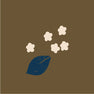 Lilas / marron