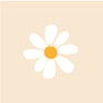 Daisies