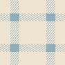 Vanilla blue squares